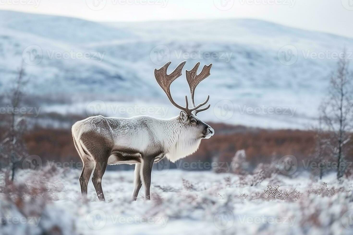 reno en pie en el nieve invierno fondo.generativo ai. foto