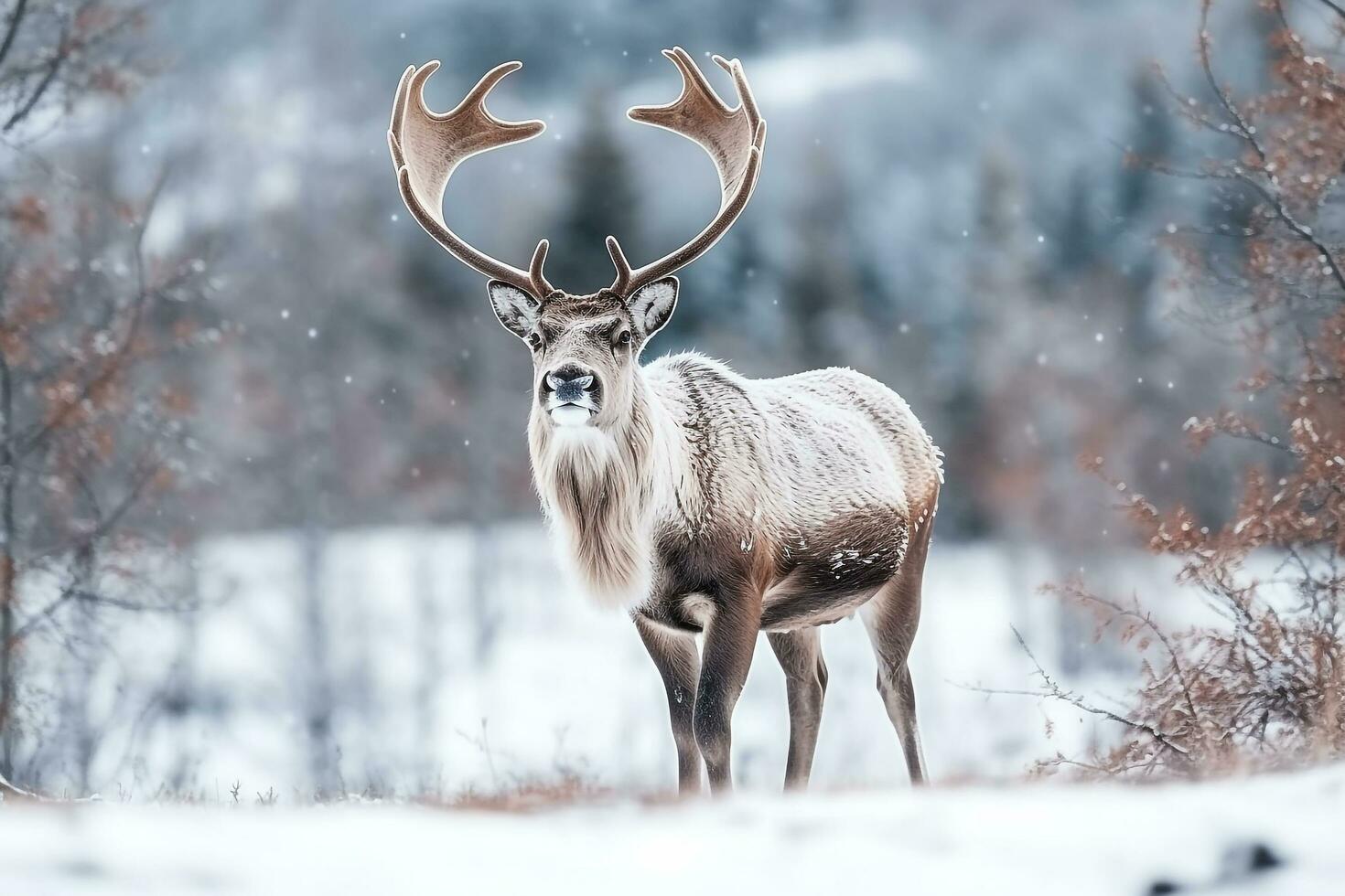 Reindeer standing in the snow winter background.Generative Ai. photo