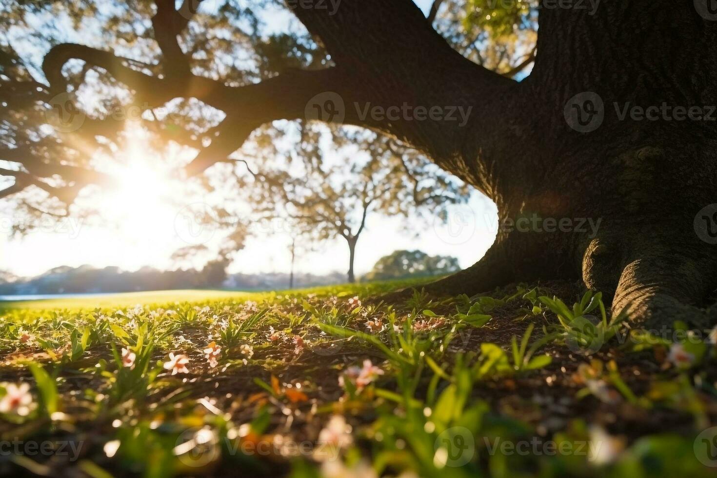 Green forest with sunny day.Generative Ai. photo