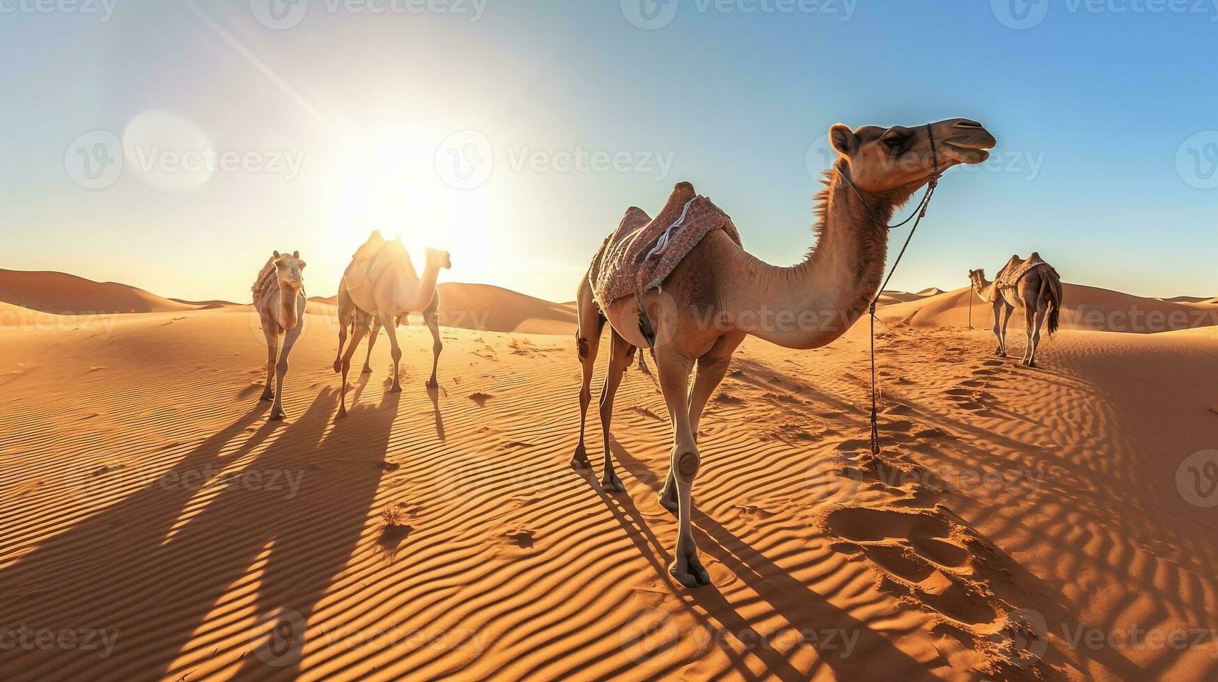 Camel in the desert with blue sky.Generative Ai. photo
