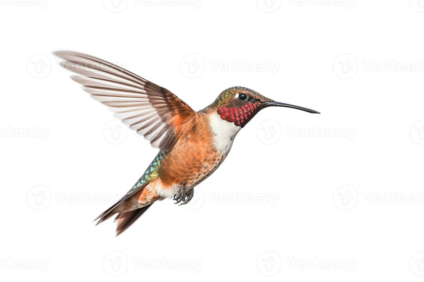 colibrí aislado en blanco fondo.generativo ai. foto