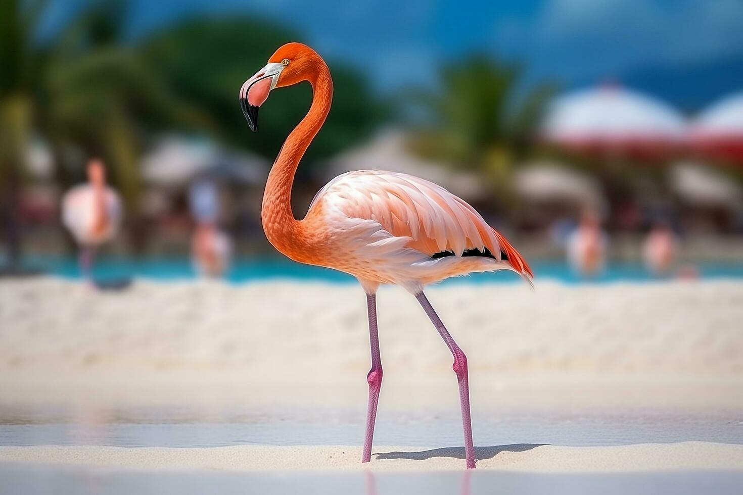 Beautiful flamingos on the sandy beach.Generative Ai. photo