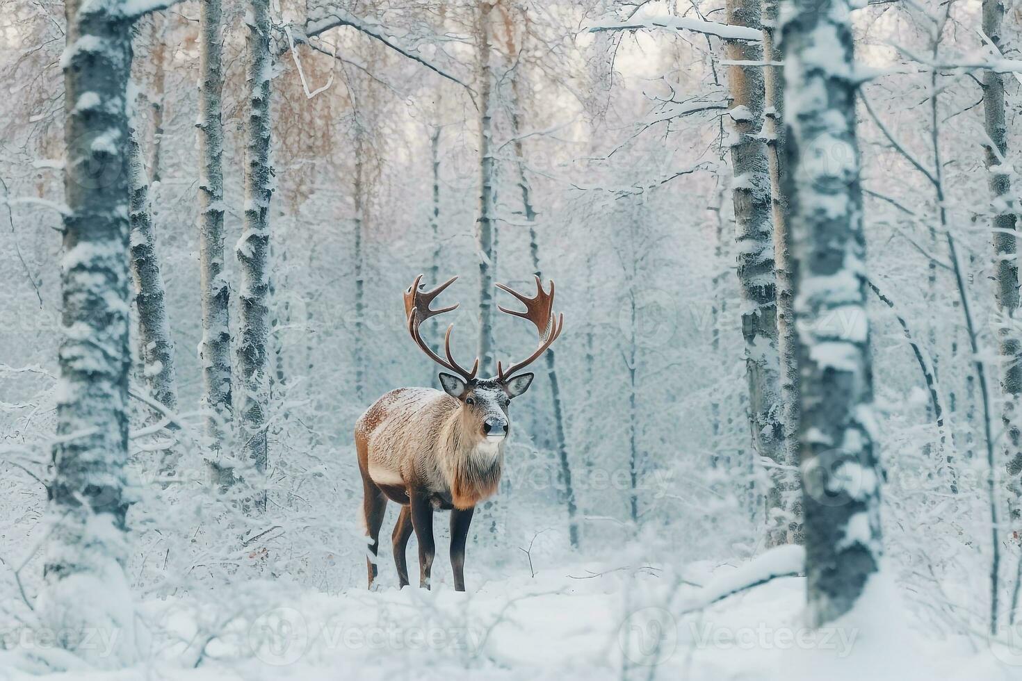 Raindeer in the snow forest.Generative Ai. photo