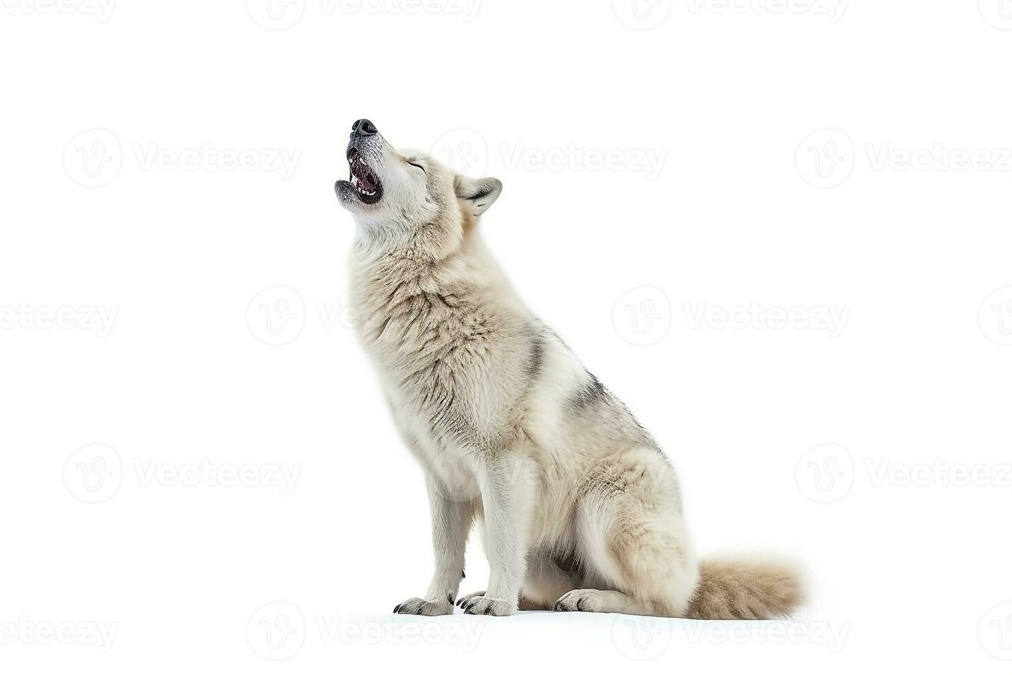 Howling white wolf isolated on white background.Generative Ai. photo