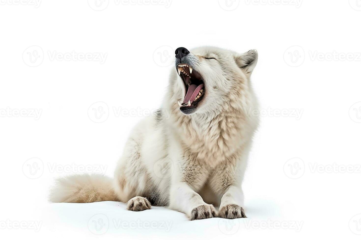 Howling white wolf isolated on white background.Generative Ai. photo