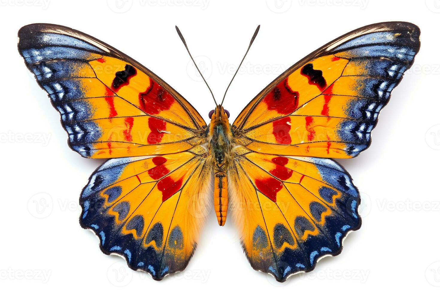 Butterfly isolated on white background.Generative Ai. photo
