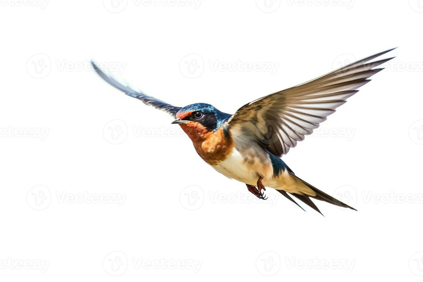 Swallow flying isolated on white background.Generative Ai. photo