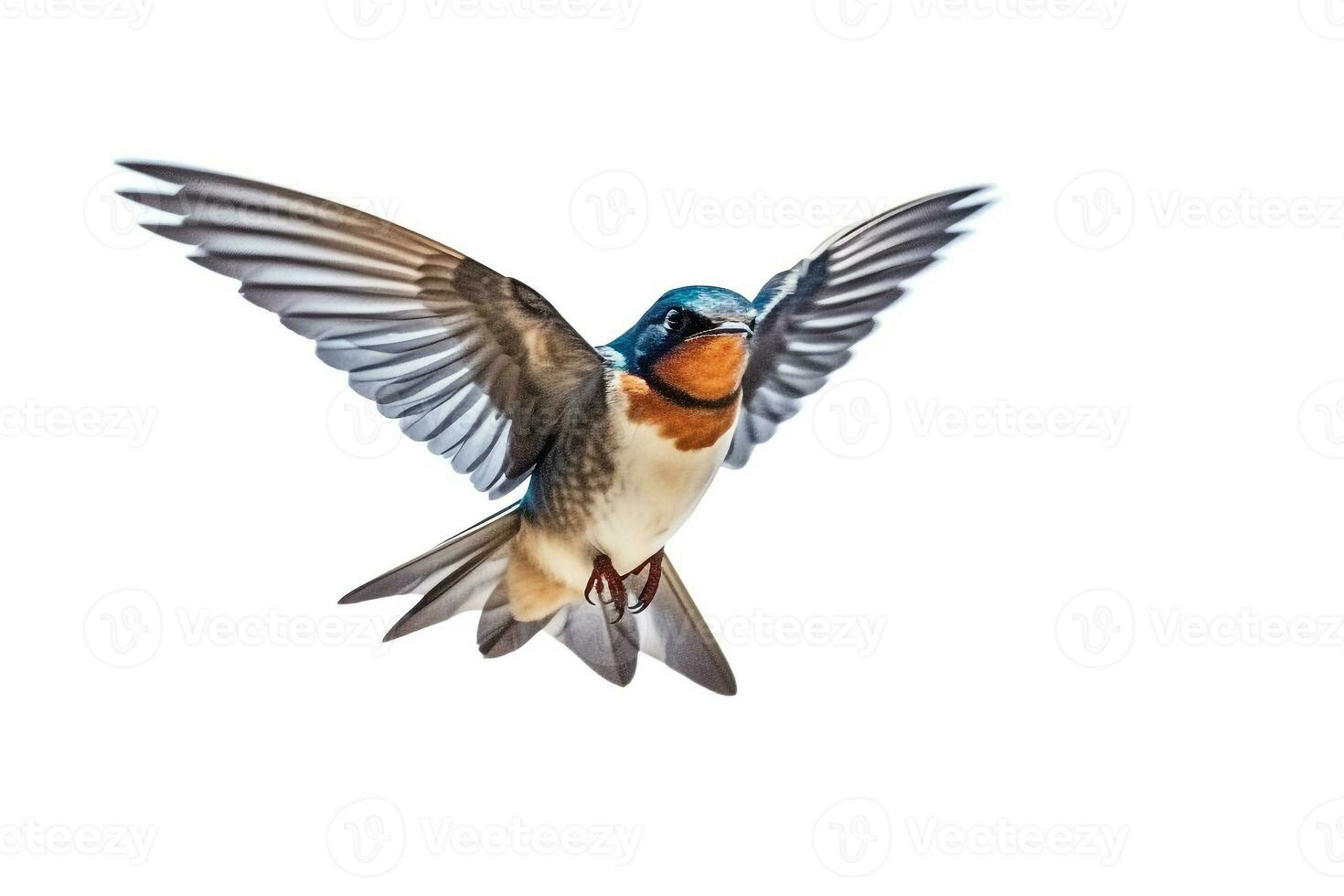 Swallow flying isolated on white background.Generative Ai. photo