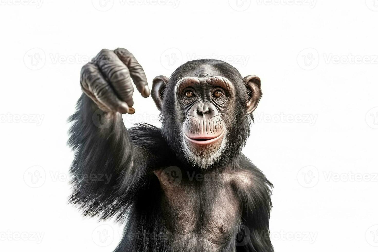 chimpancé aislado en blanco antecedentes .generativo ai. foto
