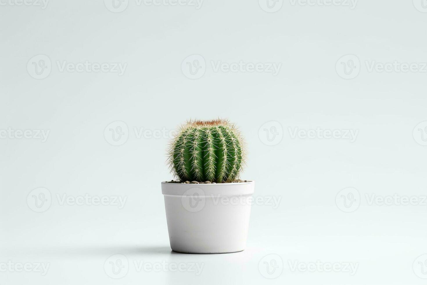 Cactus in pot isolated on white background.Generative Ai. photo