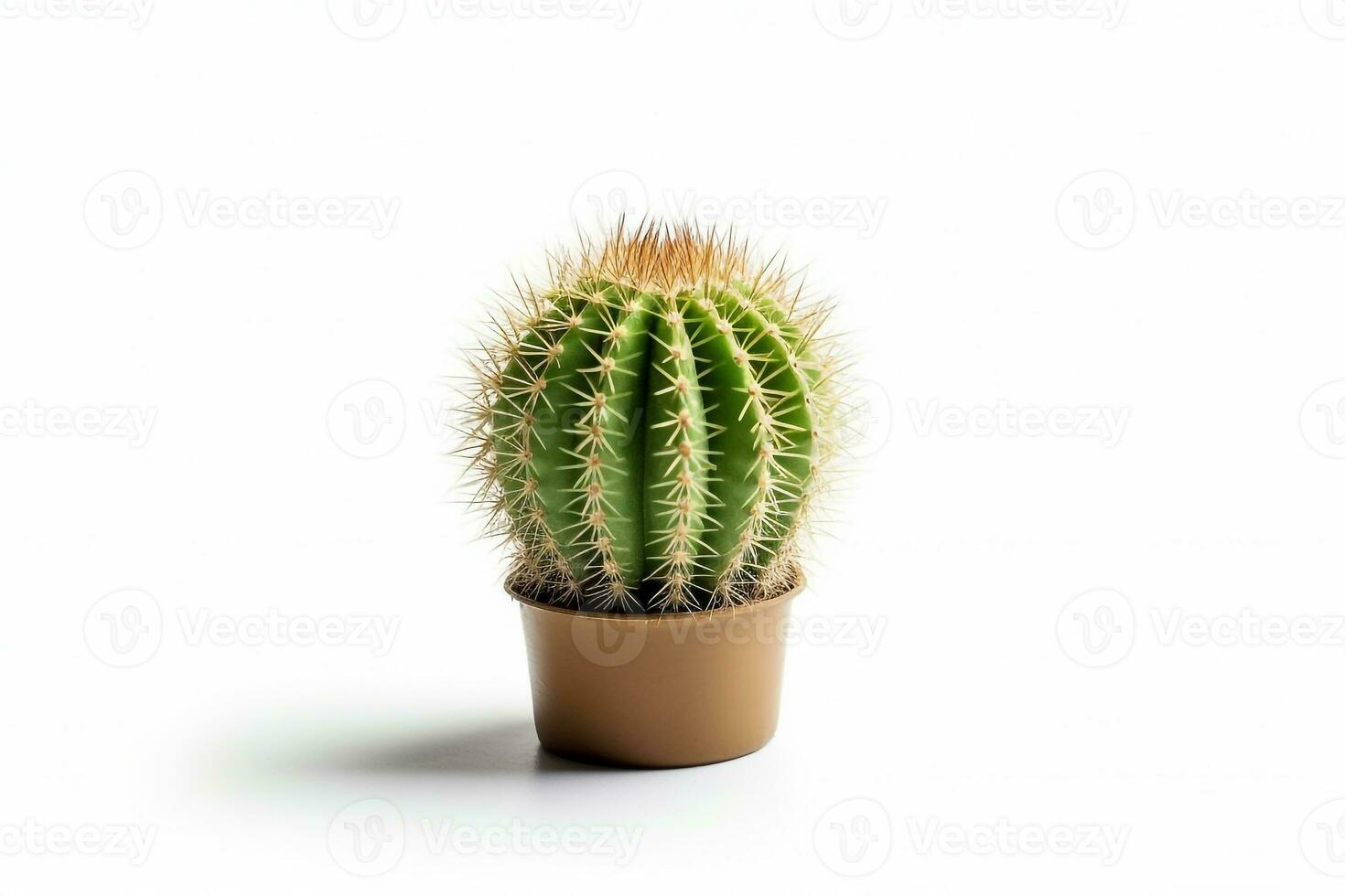 Cactus in pot isolated on white background.Generative Ai. photo