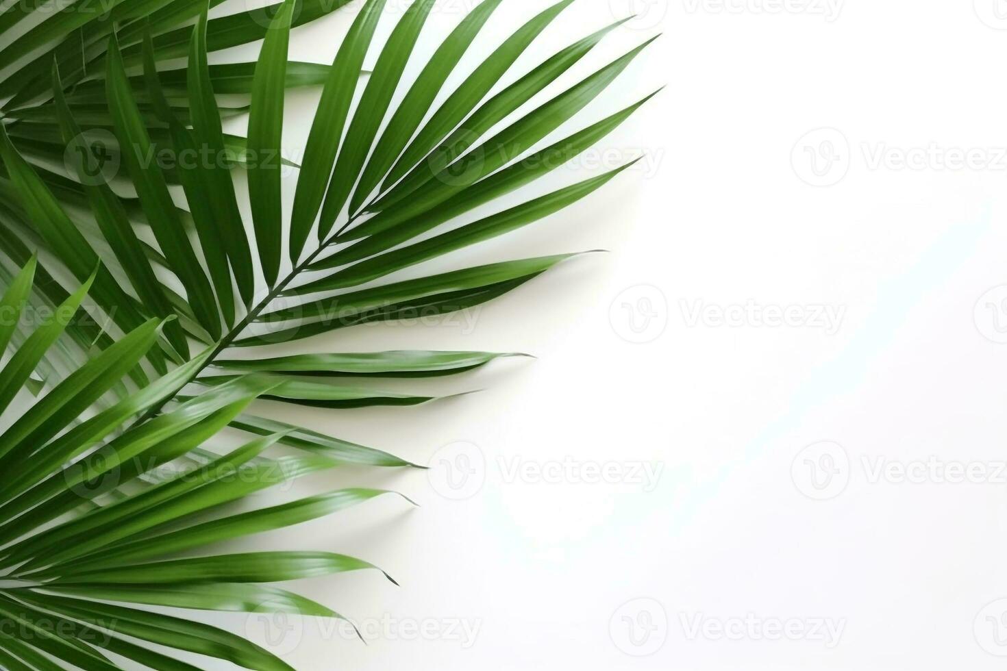 Top view green palm leaf on white background.Generative Ai. photo