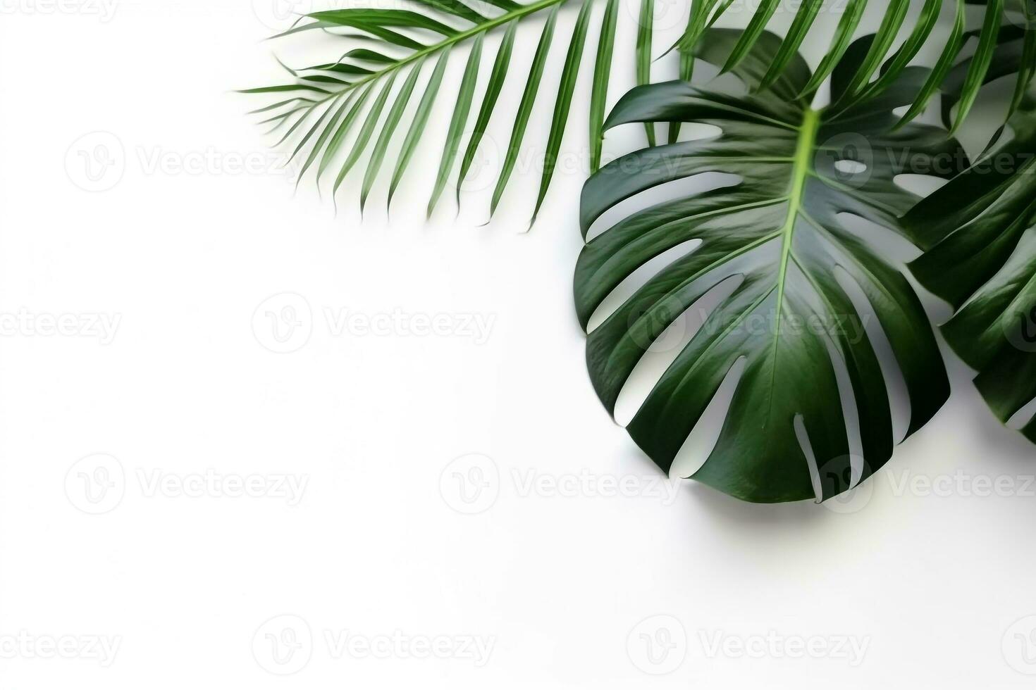 Top view green palm leaf on white background.Generative Ai. photo