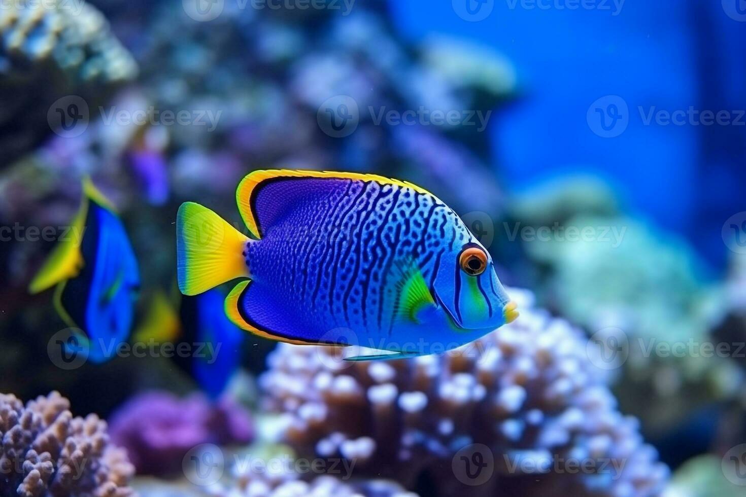 Colorful beautiful fish in the sea with beautiful corals .Generative Ai. photo