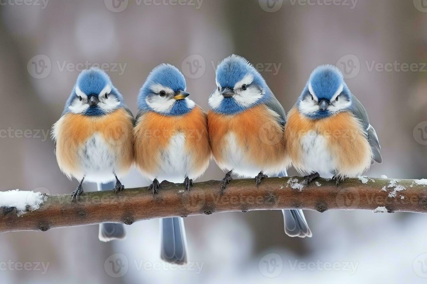 Titmouse birds on branch  with snow winter.Generative Ai. photo