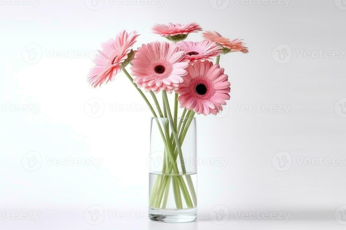 Blooming pink gerbera in glass vase isolated on white background photo