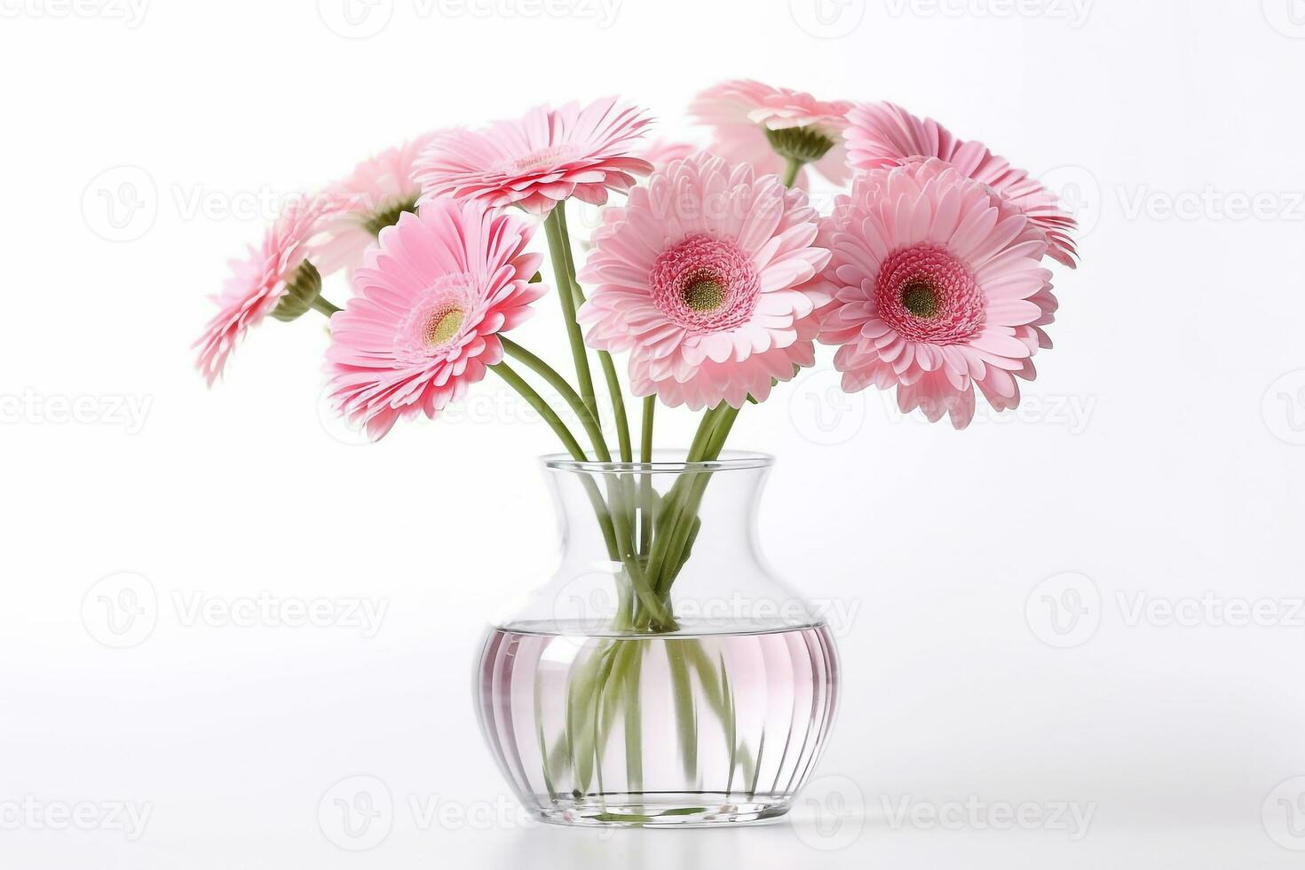 Blooming pink gerbera in glass vase isolated on white background photo