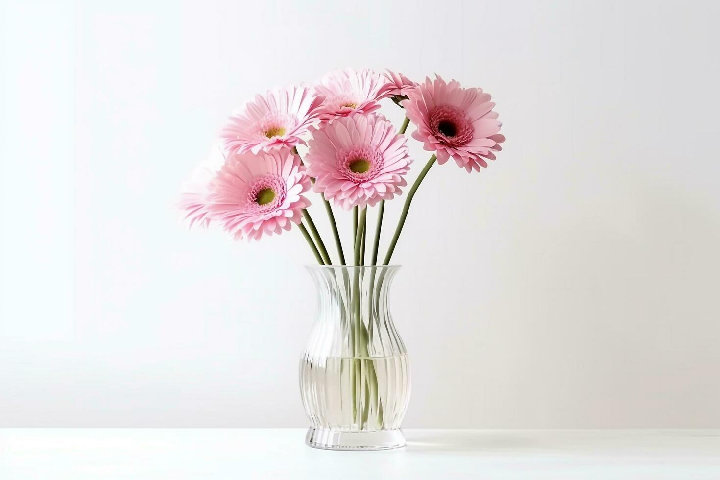 Blooming pink gerbera in glass vase isolated on white background photo