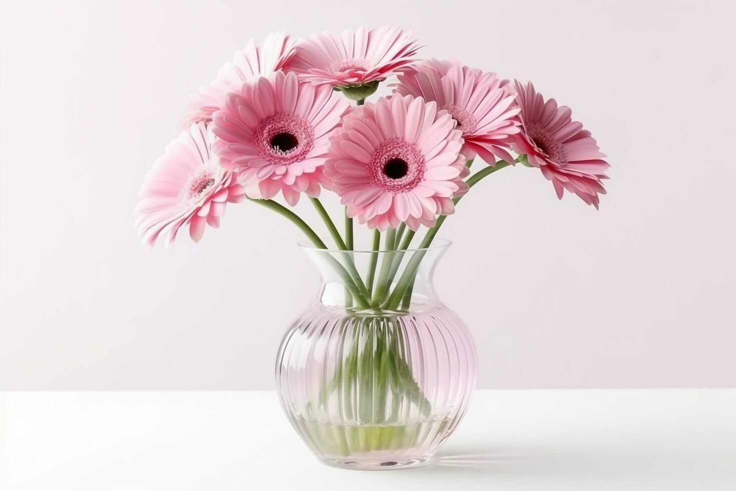Blooming pink gerbera in glass vase isolated on white background photo