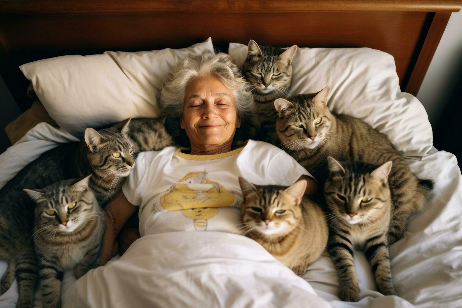 Grandmother with her cats photo