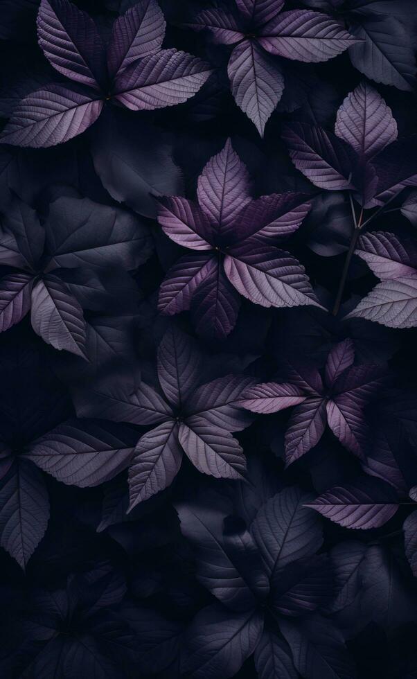 un oscuro antecedentes con muchos hojas en el primer plano foto