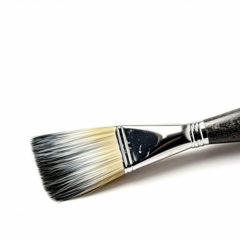 Wide brush isolated photo