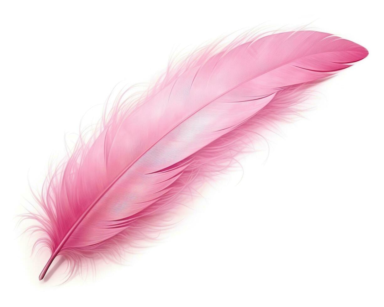 Pink feather isolated photo