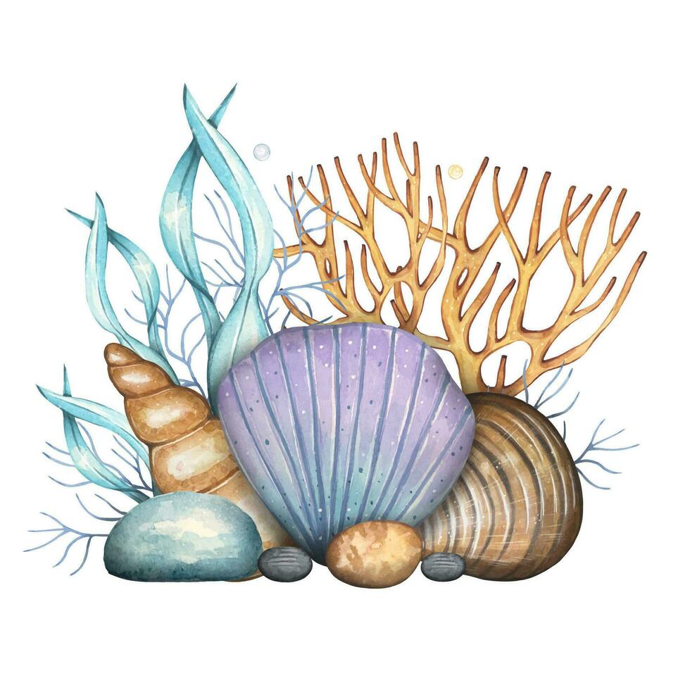 Hand drawn sea composition with shells, pebbles, corals, algae. Watercolor vector