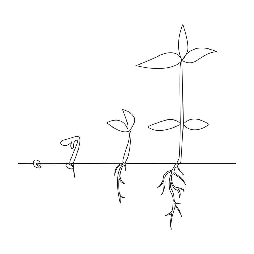 Single line Plant growth processing from seed illustration vector