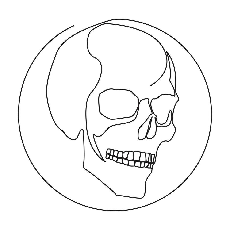 Single line human skull vector art design.