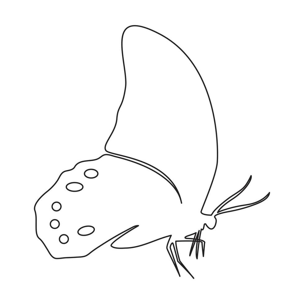 Continuous line butterfly vector illustration