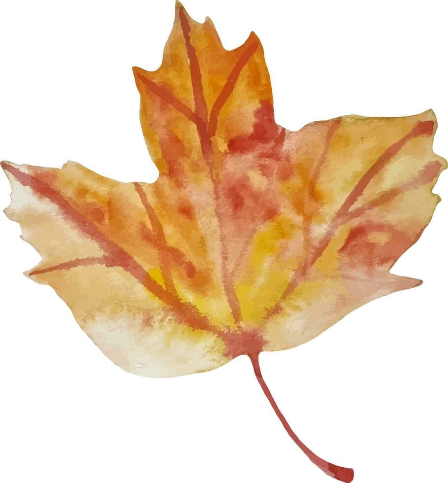 Watercolor autumn maple leaf hand drawn isolated fall clipart vector
