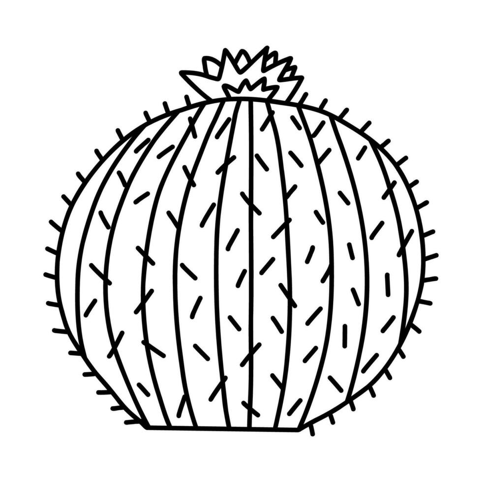 Cute hand drawn cactus doodle from Mexico or Wild West desert doodle with outline. Vector simple cacti flower with thorns in cartoon style. Mexican spiny exotic plant isolated on white background.