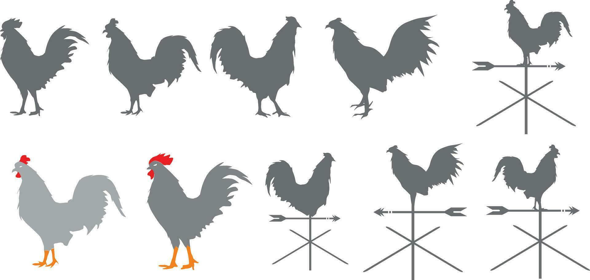 Set of rooster vector illustrations