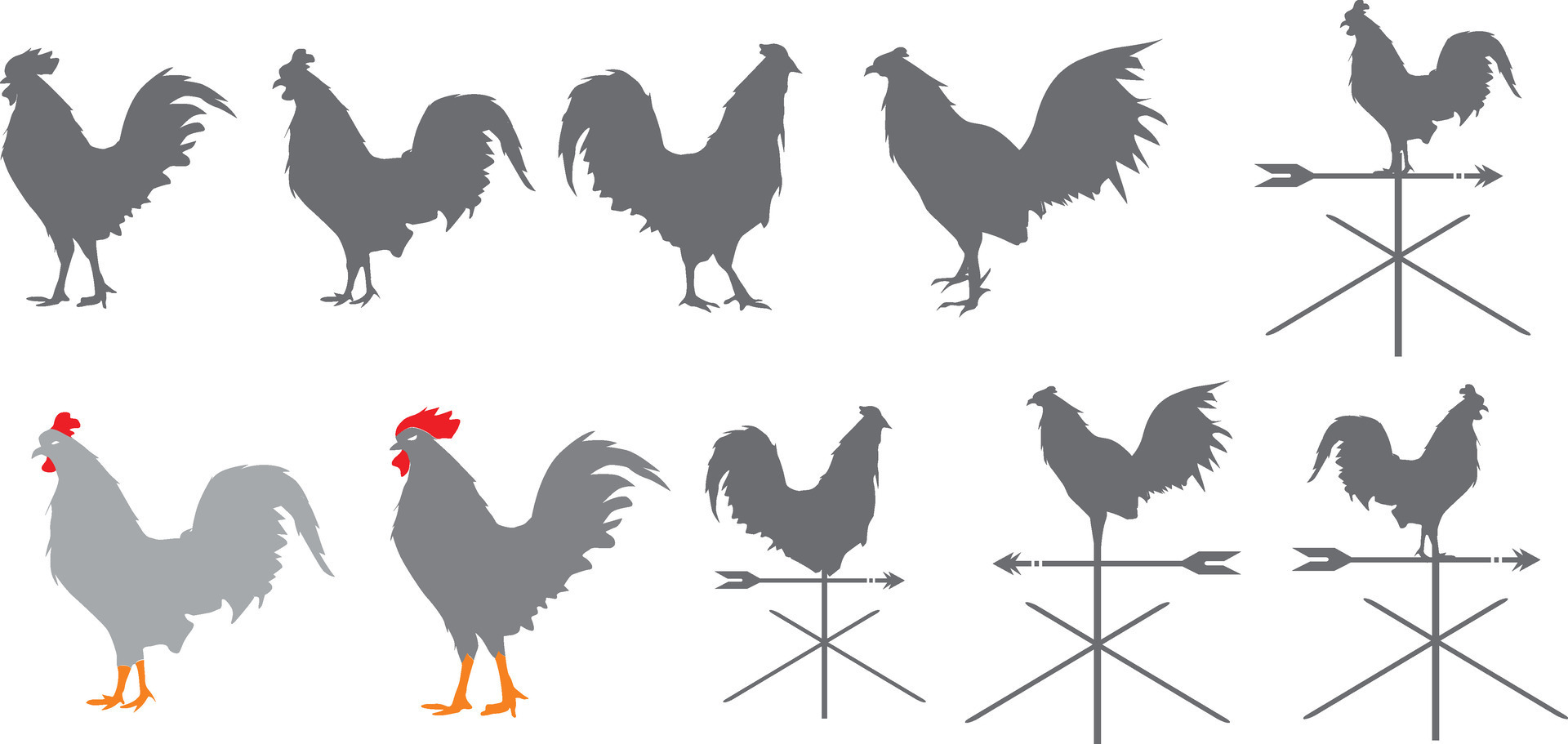 Set of rooster vector illustrations 29566529 Vector Art at Vecteezy