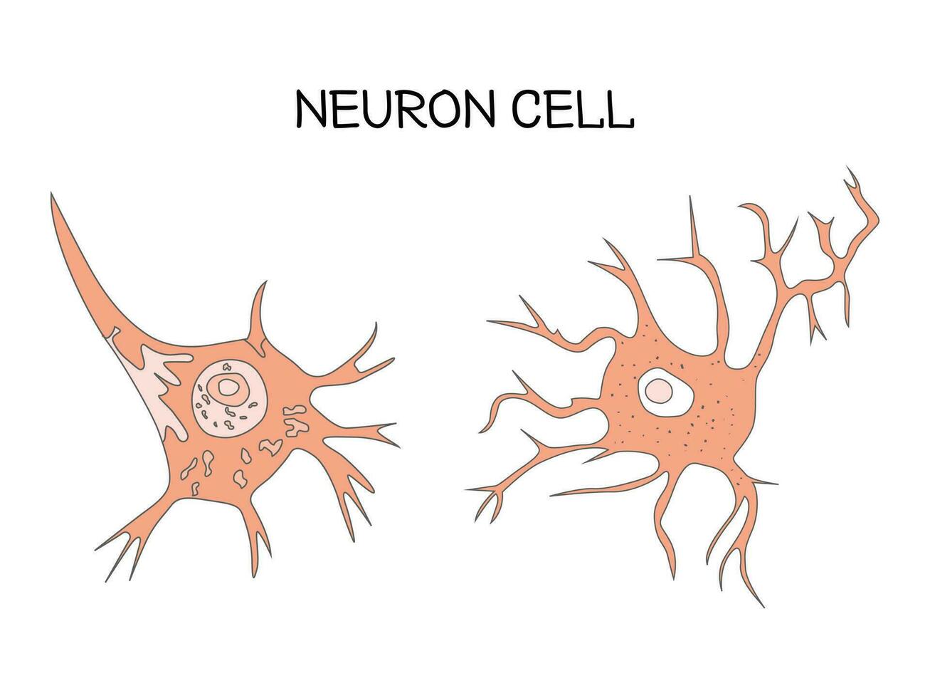 neurona célula Ciencias diseño vector ilustración