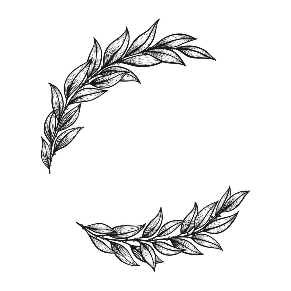Laurel wreath hand drawn in vintage line art style. Victory symbol, elegant sketch design. Isolated on white background. Floral decorative element for wedding. vector