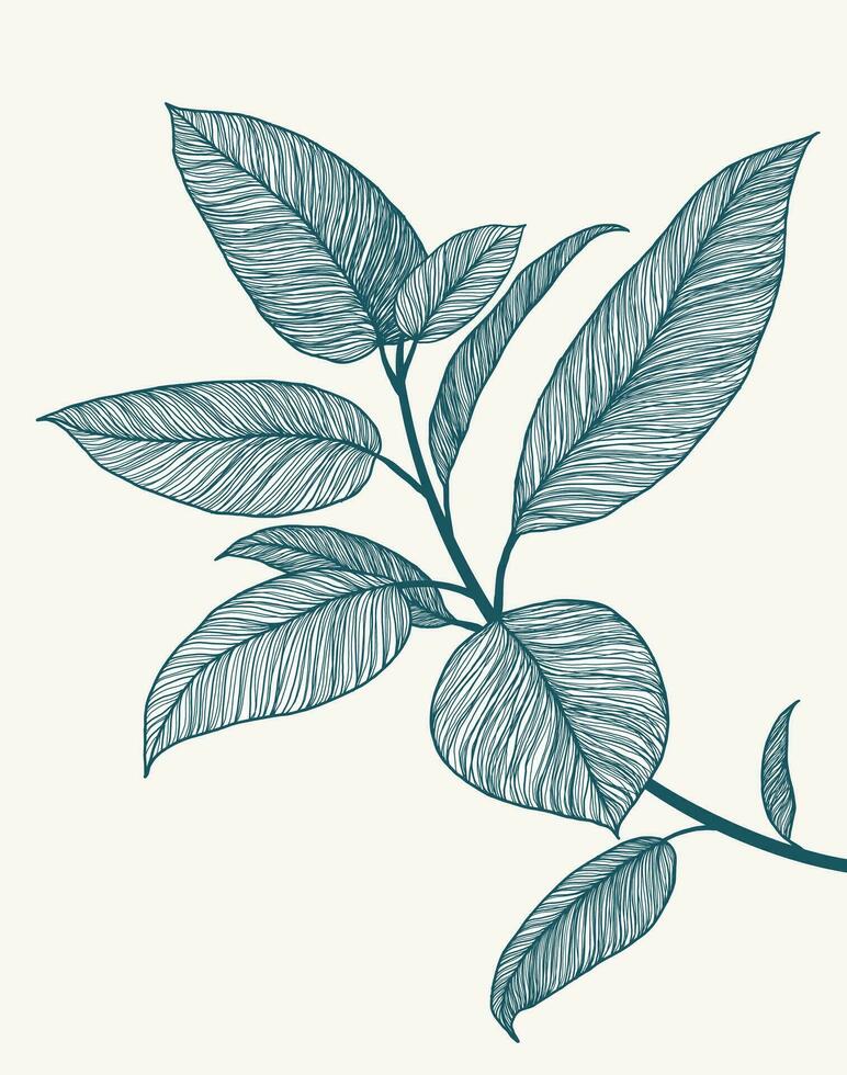 Ficus line art illustration. Minimalist botanical poster. Tropical plant branch. Hand drawn floral background. Abstract design artwork. Line floral drawing. Blue marine summer fresh colors. vector