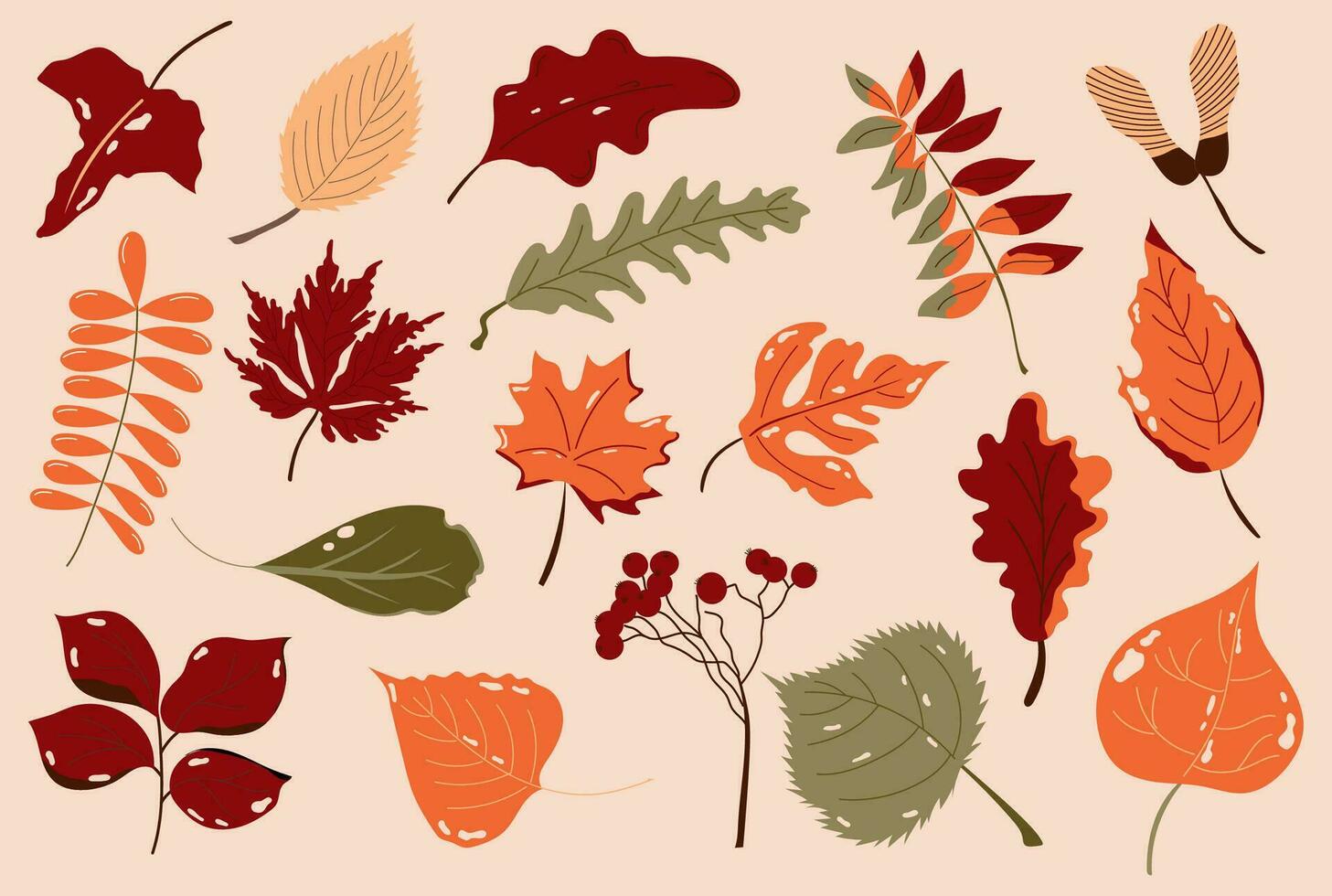 Colourful hand drawn set with autumn torn leaves and berries. Two-color and three-color leaves design. vector