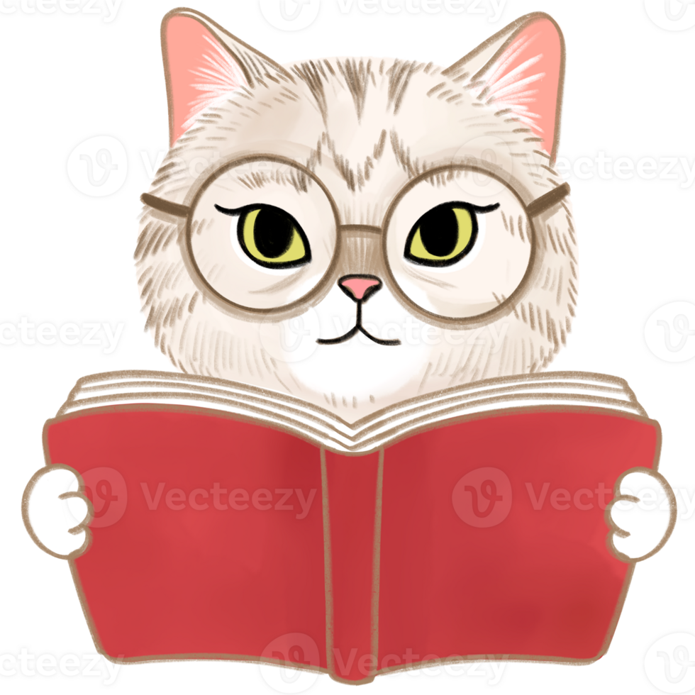 Paint brush watercolor cute cat  element. png
