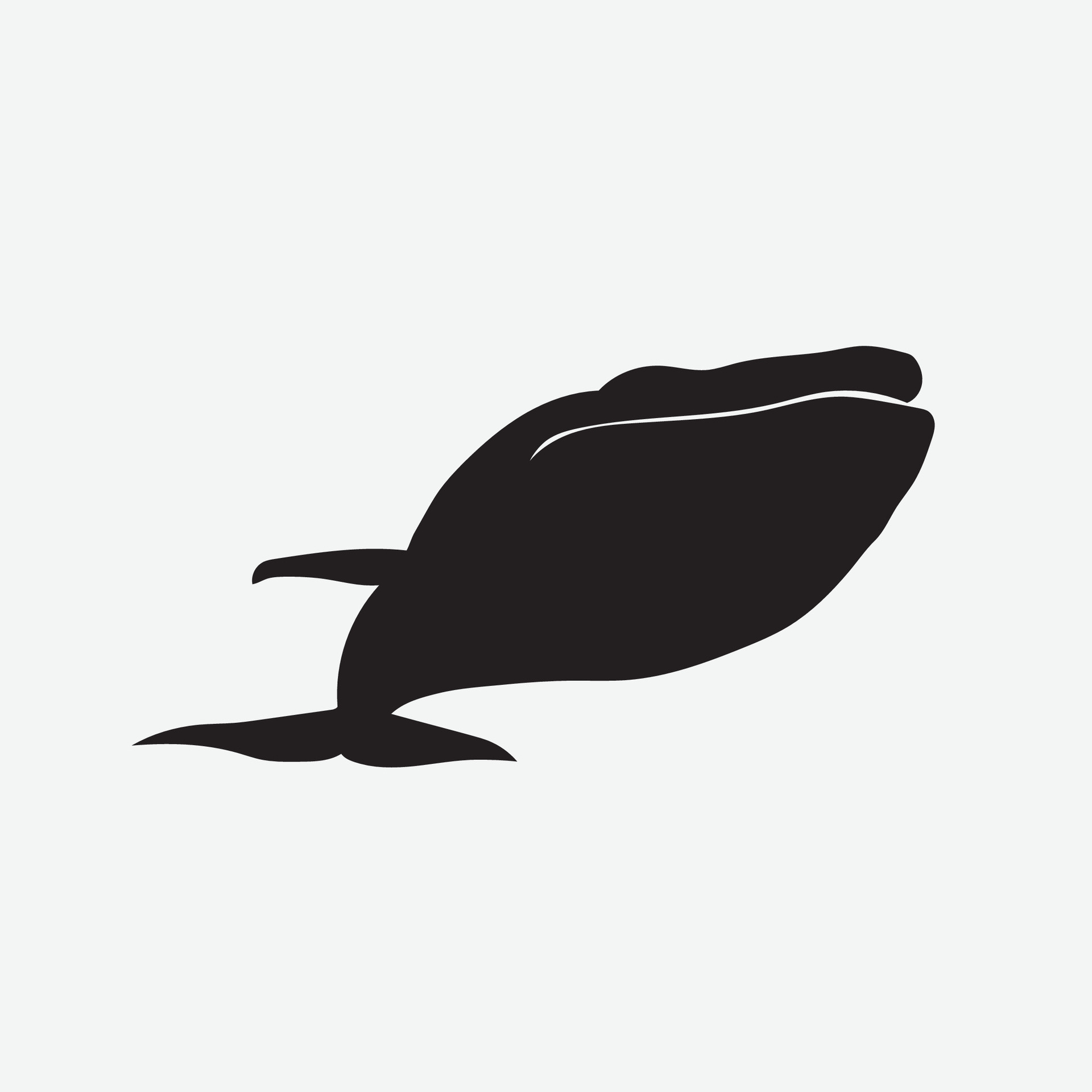 Blue whale vector png 29570970 Vector Art at Vecteezy