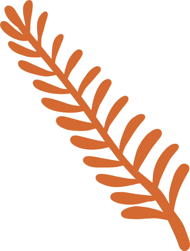 simplicity autumn leaf freehand drawing png