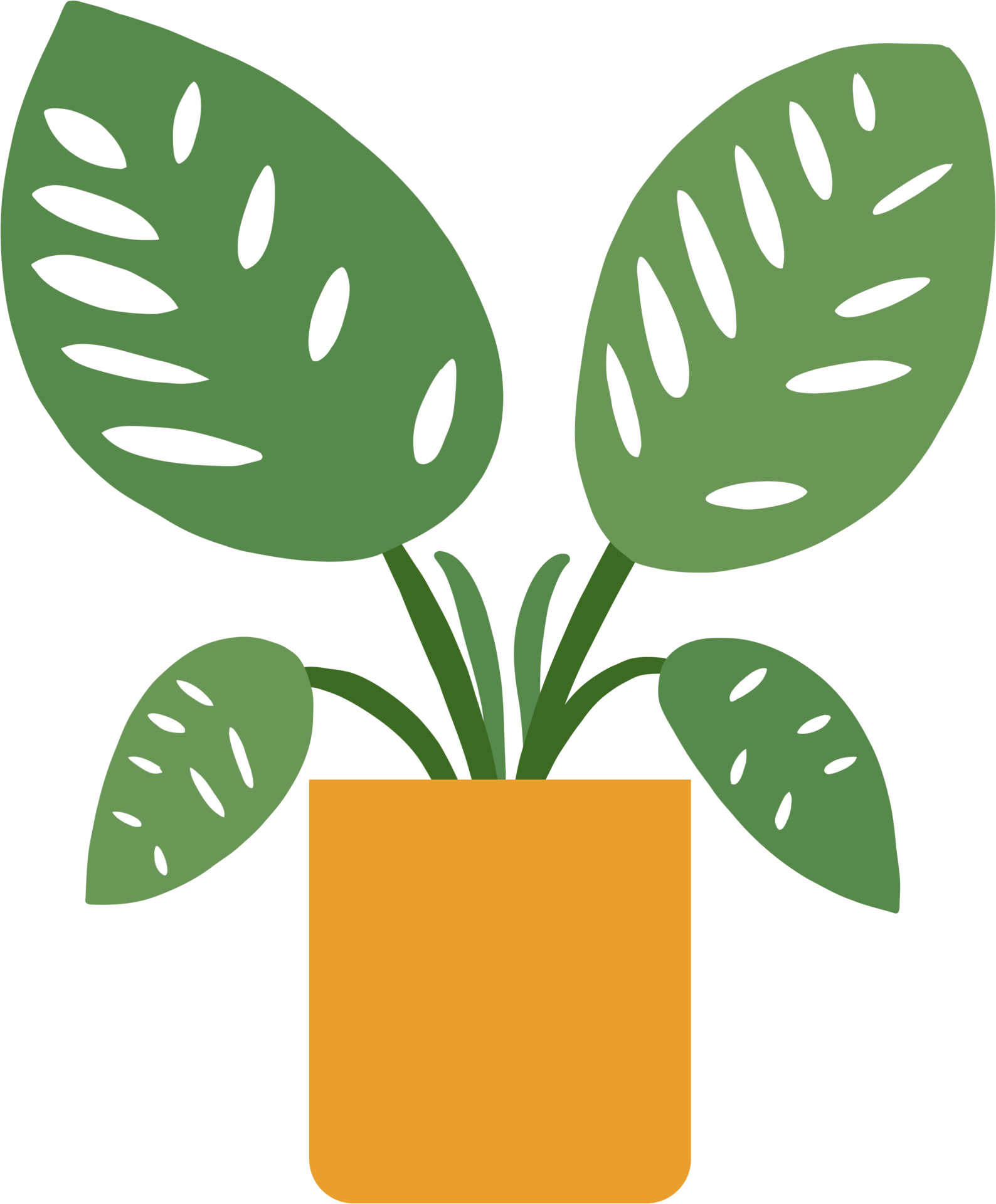 Houseplant Drawing Illustration 29571427 PNG houseplant-drawing-illustration-29571427-png