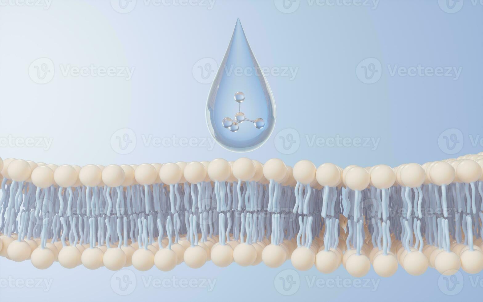 Cell membrane structure background, 3d rendering. photo