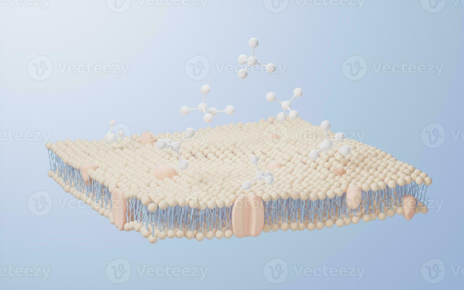 Cell membrane structure background, 3d rendering. photo