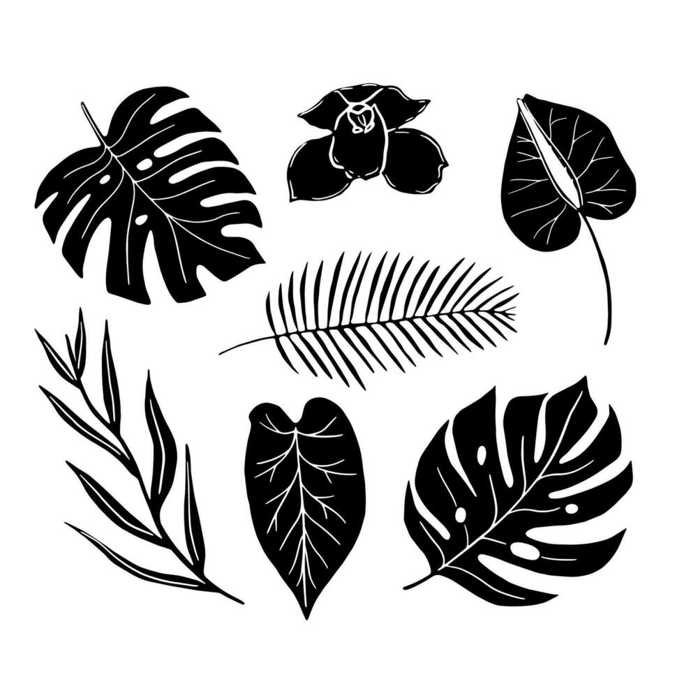 Vector black tropic leaves and flowers silhouette. Set with tropical elements