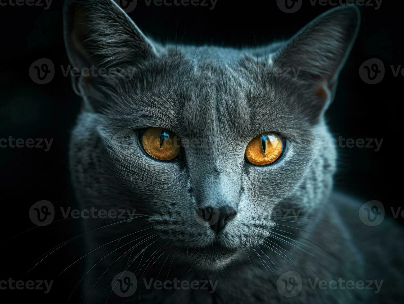 Russian blue cat portrait close up created with Generative AI technology photo