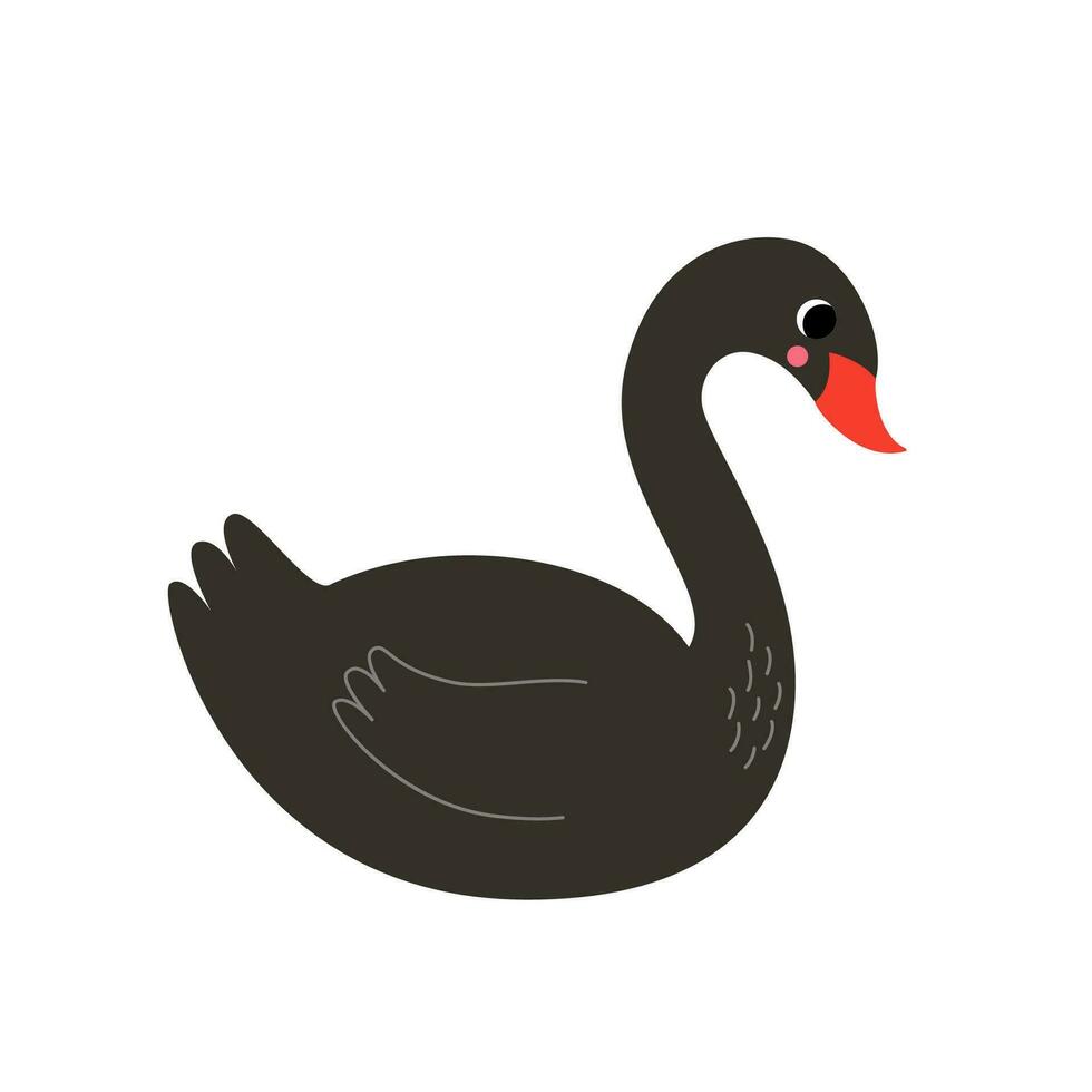 Vector picture of cute black swan isolated on white background.