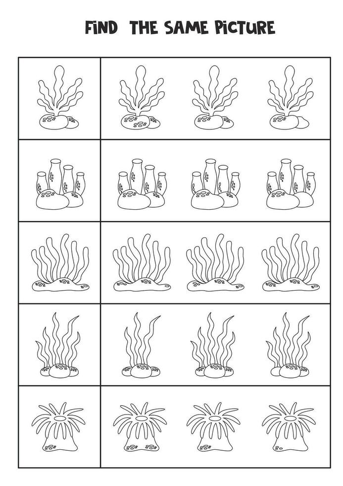 Find two the same sea weeds. Black and white worksheet. vector