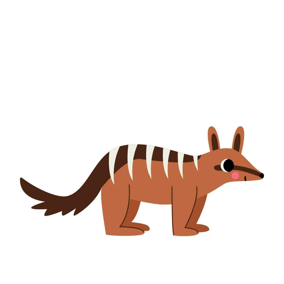 Vector picture of cute numbat isolated on white background.